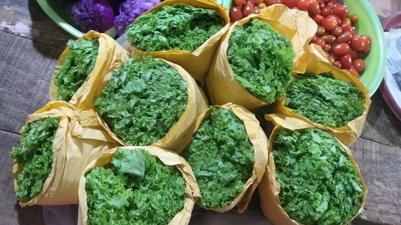 5 Cara Menyimpan Sayur Agar Tetap Segar Lebih Lama